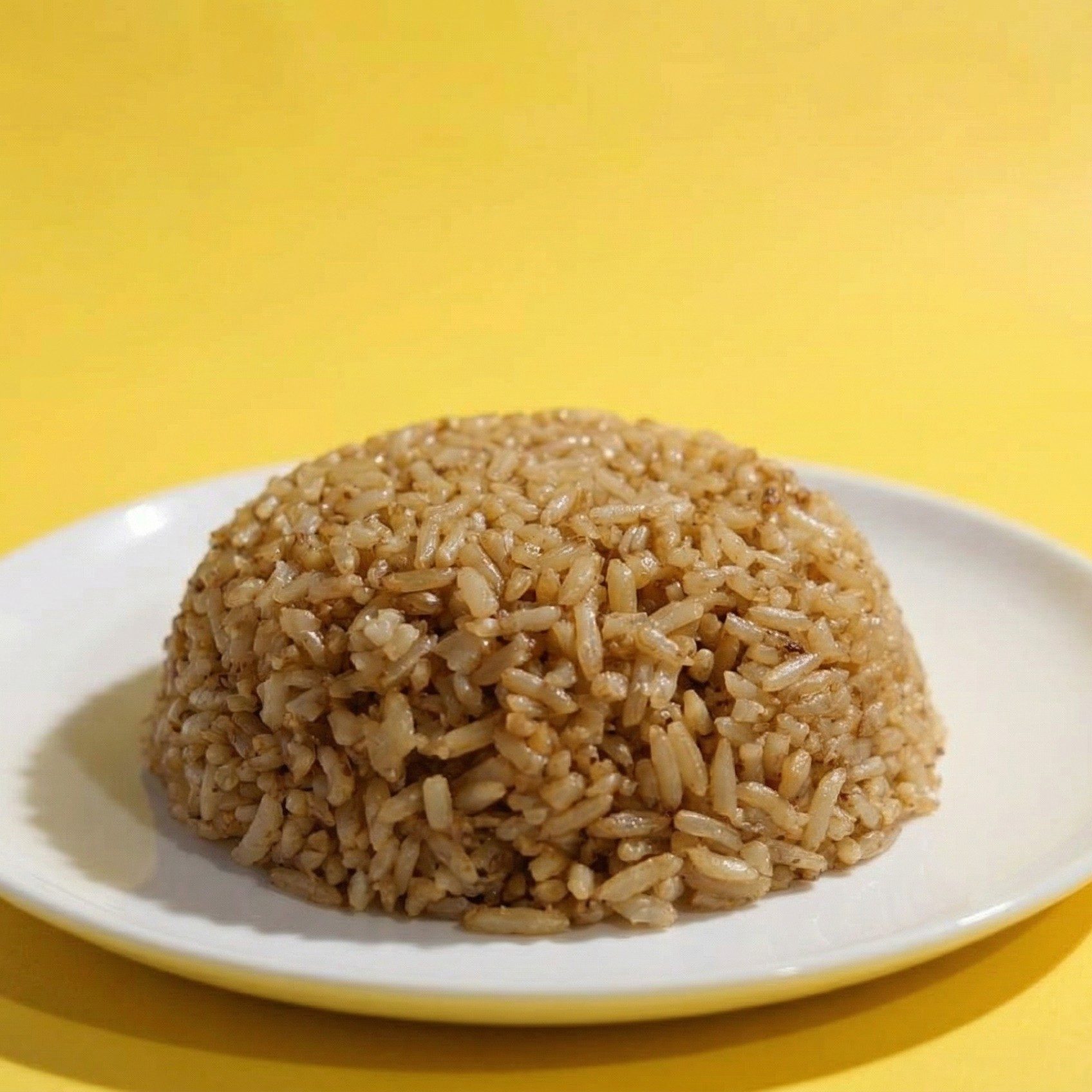 Plain Fried Rice.